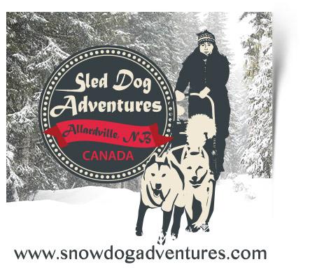 Sled Dog Adventures offers dog sledding adventures for everyone. 